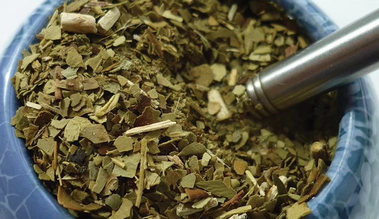 Extracto de yerba mate